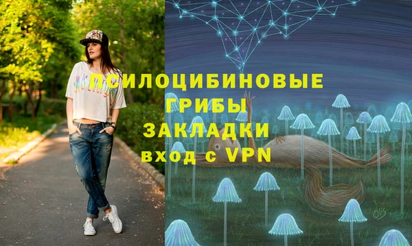 мескалин Богородицк