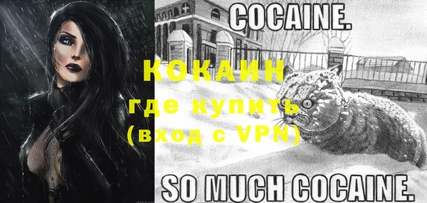 дживик Беломорск