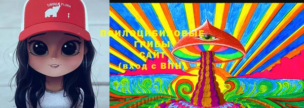 мескалин Богородицк