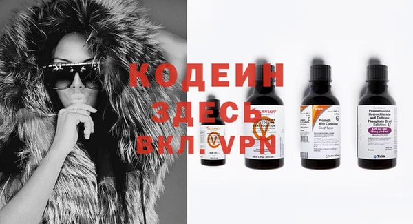 PSILOCYBIN Богданович