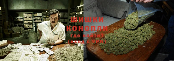 PSILOCYBIN Богданович