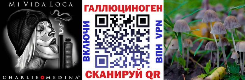 Псилоцибиновые грибы MAGIC MUSHROOMS  закладка  Мурманск 