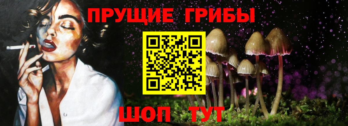 Мурманск  Галлюциногенные грибы GOLDEN TEACHER  Вход с VPN 