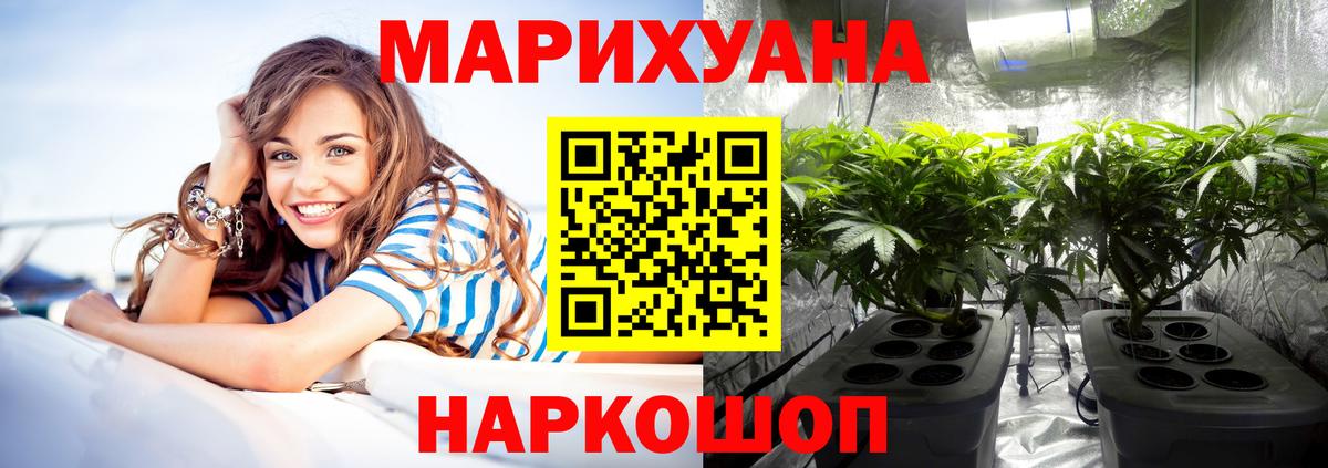Бошки Шишки план Мурманск